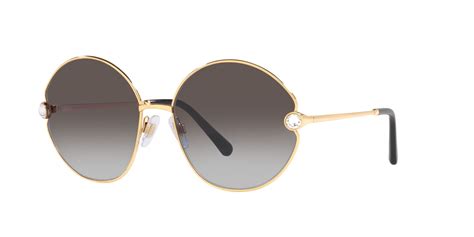 Dolce & Gabbana DG 2282B .